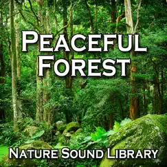 Peaceful Forest (Nature Sounds for Deep Sleep, Relaxation, Meditation, Spa, Sound Therapy, Studying, Healing Massage, Yoga and Chakra Balancing) - Single by Nature Sound Library album reviews, ratings, credits