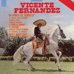 Mi Amigo el Tordillo by Vicente Fernández album reviews, ratings, credits