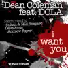 I Want You (Dave Audé Radio Edit) song lyrics