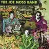 The Joe Moss Band album lyrics, reviews, download