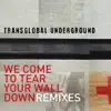 We Come to Tear Your Wall Down (Remixes) - EP album lyrics, reviews, download