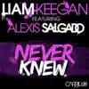Never Knew (feat. Alexis Salgado) album lyrics, reviews, download