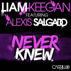 Never Knew (feat. Alexis Salgado) by Liam Keegan album reviews, ratings, credits