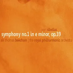 Symphony No. 1 in E Minor, Op. 39: I. Andante, Ma non troppo - Allegro Energico Song Lyrics