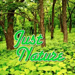 Whitewater River Nature Sound Song Lyrics