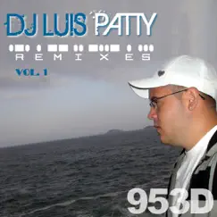 Stranger Danger (DJ Luis Patty Remix) Song Lyrics
