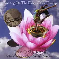 Dancing On the Edge of a Teacup by David Surkamp album reviews, ratings, credits