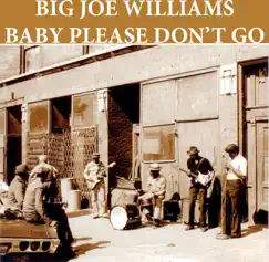 Baby Please Don't Go - Single by Big Joe Williams album reviews, ratings, credits