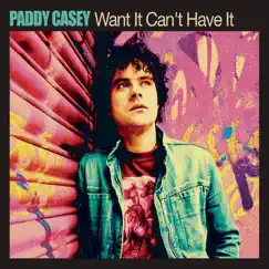 Want It Can't Have It Song Lyrics