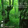 Rainforest - Single album lyrics, reviews, download
