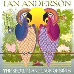 The Secret Language of Birds Song Lyrics