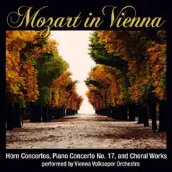 Concerto No. 3 in E-Flat Major for Horn and Orchestra, K. 447: III. Rondo: Allegro vivace Song Lyrics