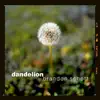 Dandelion album lyrics, reviews, download