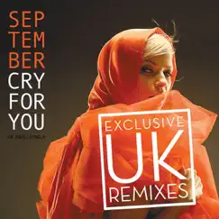 Cry for You (Darren Styles Remix) Song Lyrics
