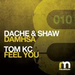 Damhsa / Feel You - EP by Dache & Shaw & Tom KC album reviews, ratings, credits