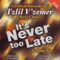It's Never Too Late, Vol. 6 by Tzlil V'zemer Boys Choir album reviews, ratings, credits