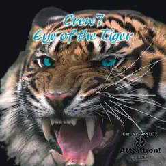 Eye of the Tiger (Original Radio Edit) Song Lyrics