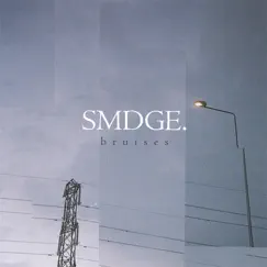 Bruises by SMDGE. album reviews, ratings, credits