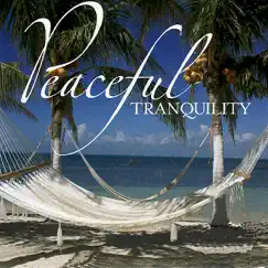 Peaceful Tranquility by C.S. Heath album reviews, ratings, credits