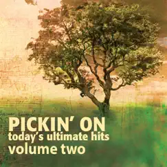 Ticks (Bluegrass Tribute to Brad Paisley) Song Lyrics