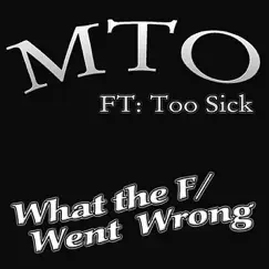 What the F/went wrong? (feat. Kaos & Too Sick) Song Lyrics