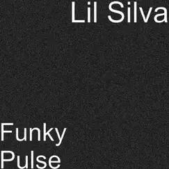 Funky Pulse by Lil Silva album reviews, ratings, credits