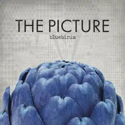 Bluebirds by The Picture album reviews, ratings, credits