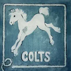 Colts by Tim Bluhm album reviews, ratings, credits