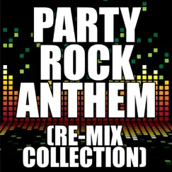 Party Rock Anthem (DubStep Re-Mix) Song Lyrics