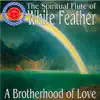 A Brotherhood of Love album lyrics, reviews, download