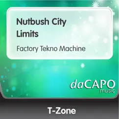 Nutbush City Limits - Single by T-Zone album reviews, ratings, credits