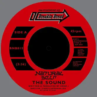 The Sound/foundation by Natural Self album download
