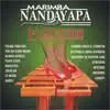 Marimba Nandayapa - 15 Danzones album lyrics, reviews, download