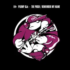 The Push - Single by Plump DJs album reviews, ratings, credits