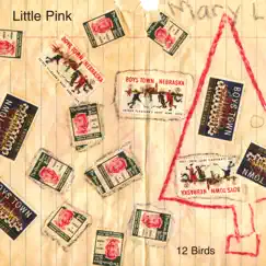 12 Birds - EP by Little Pink album reviews, ratings, credits