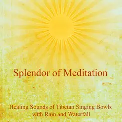 The Healing Sounds of Tibetan Singing Bowls With Rain and Waterfall - The Ultimate Meditation Music by Splendor of Meditation album reviews, ratings, credits
