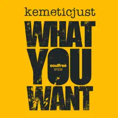 What You Want - Single by Kemeticjust album reviews, ratings, credits