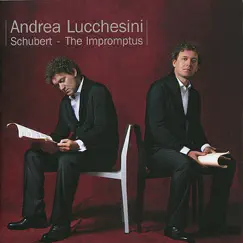 Four Impromptus D.899, Op. 90 : No. 4 in A-Flat Major: Allegretto Song Lyrics
