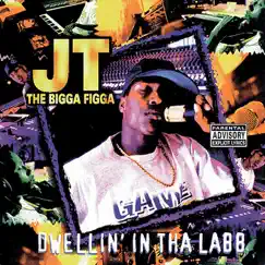 Dwellin' In tha Labb by JT the Bigga Figga album reviews, ratings, credits