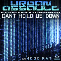 Can't Hold Us Down Song Lyrics
