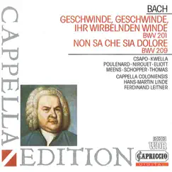 Bach: Geschwinde, ihr wirbelnden Winde by Eva Csapó, David Thomas, Hans-Martin Linde, Michael Schopper, Hein Meens, Paul Elliott, Studio Chorus, Cappella Coloniensis, Jean Nirouet, Ferdinand Leitner & Isabelle Poulenard album reviews, ratings, credits