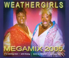 Maxi-Mega-Mix 2005 (It`s Raining Men, Wild Thang, Born to Be Alive, Can U Feel It) Song Lyrics