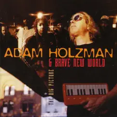 The Big Picture by Adam Holzman & Brave New World album reviews, ratings, credits