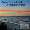 Best Of Nature Sounds And Relaxation Music (with Birds & Singing Bowls) album lyrics, reviews, download
