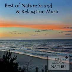 Best Of Nature Sounds And Relaxation Music (with Birds & Singing Bowls) by Life Sounds Nature album reviews, ratings, credits