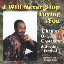 I Will Never Stop Loving You by Charles 