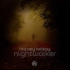 Nightwalker Song Lyrics