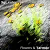 Flowers & Tarmac album lyrics, reviews, download