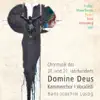 Domine Deus - Chormusik des 20 und 21. Jahrhunderts album lyrics, reviews, download