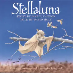 Stellaluna's Theme Song Lyrics